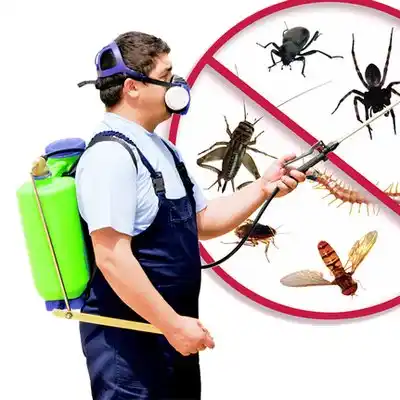 pest control Tijeras